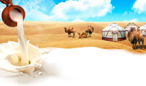 How to Start an Amul Dairy Franchise in India: A Complete Guide