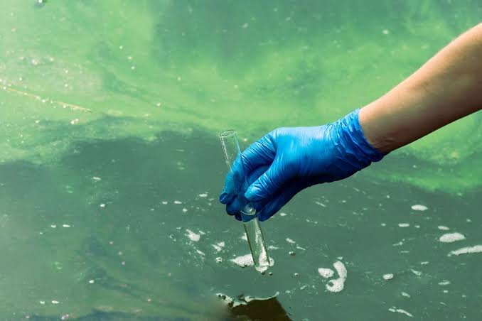 free water test